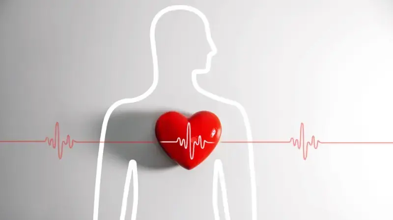 Living With High Blood Pressure? Your Plate Might Matter More Than You Think